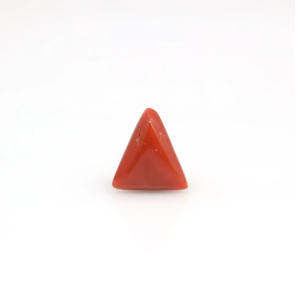 Red Coral - 3.8 Carat