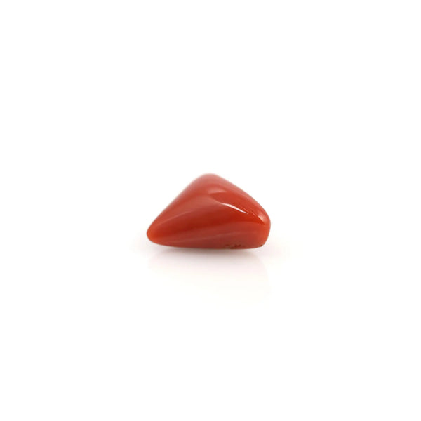 Red Coral - 3.8 Carat