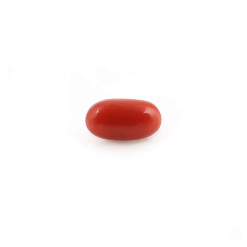 Red Coral - 4.23 Carat - Pramogh