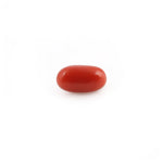 Red Coral - 4.23 Carat - Pramogh
