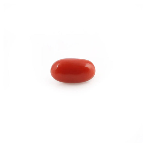 Red Coral - 4.23 Carat