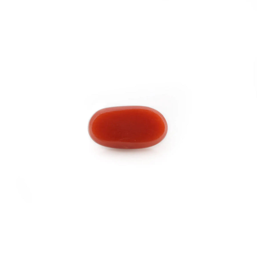 Red Coral - 4.23 Carat - Pramogh