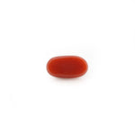 Red Coral - 4.23 Carat - Pramogh