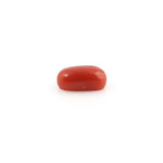 Red Coral - 4.23 Carat - Pramogh