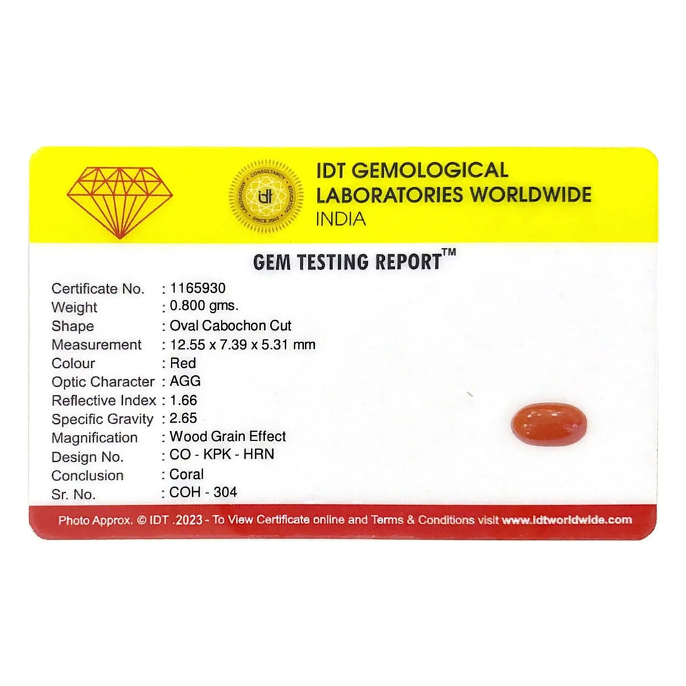 Red Coral - 4 Carat - Pramogh