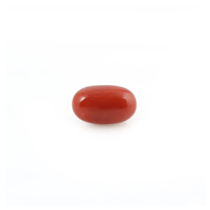 Red Coral - 4.2 Carat - Pramogh