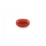 Red Coral - 4.2 Carat - Pramogh