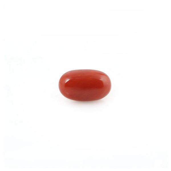 Red Coral - 4.2 Carat