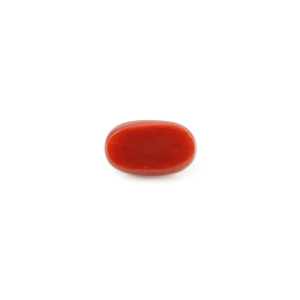 Red Coral - 4.2 Carat