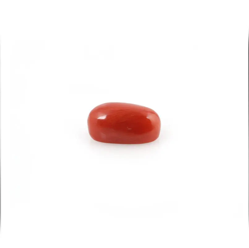 Red Coral - 4.2 Carat - Pramogh