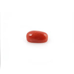 Red Coral - 4.2 Carat - Pramogh