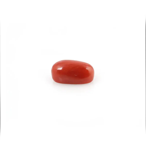 Red Coral - 4.2 Carat