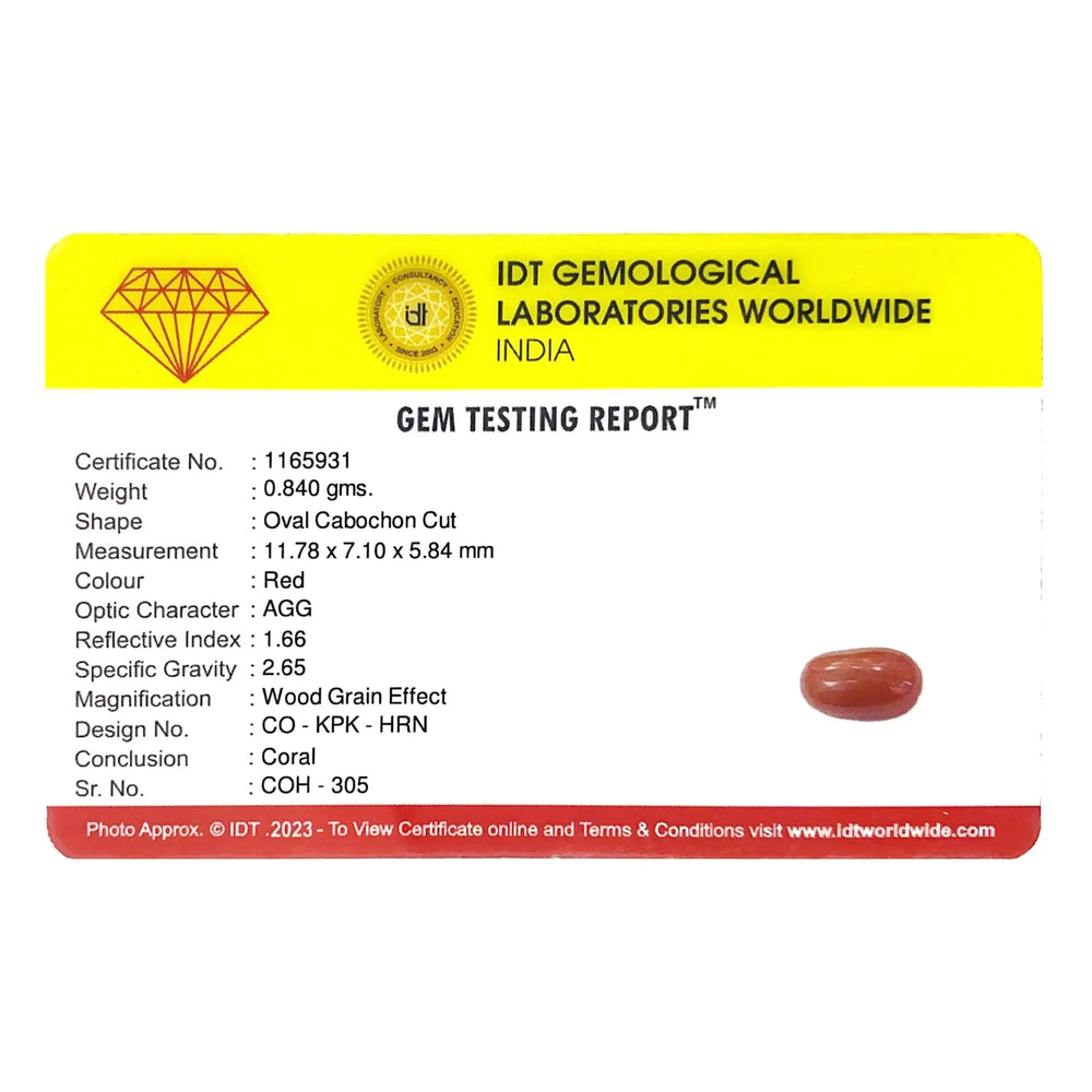 Red Coral - 4.2 Carat - Pramogh
