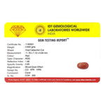 Red Coral - 4.2 Carat - Pramogh