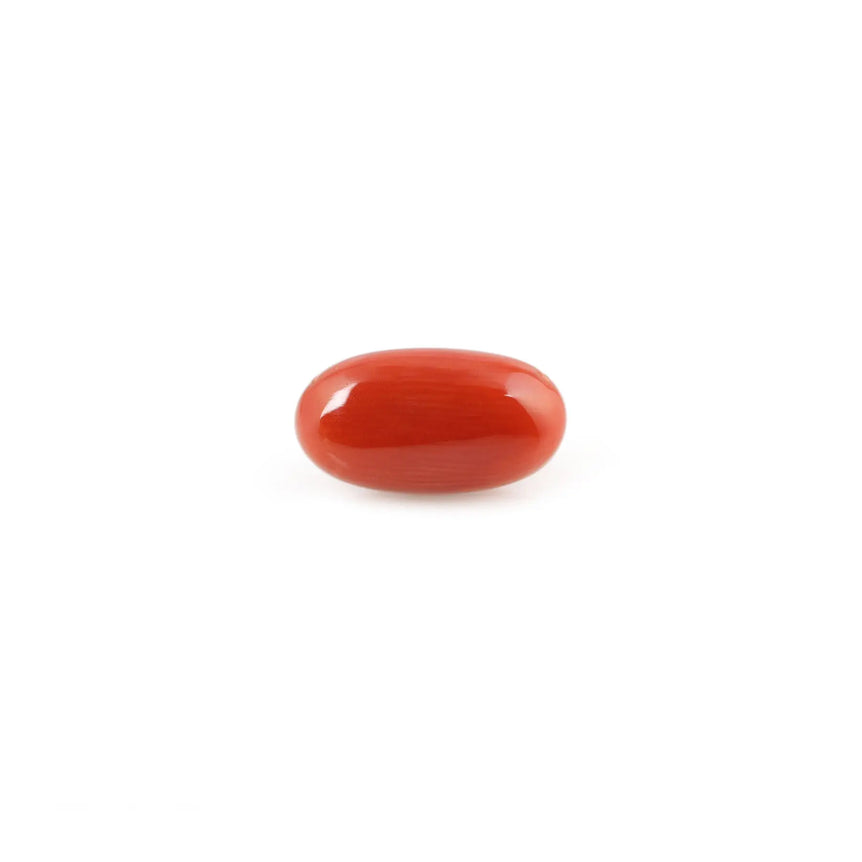 Red Coral - 4.08 Carat - Pramogh