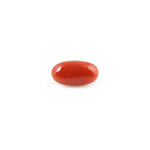 Red Coral - 4.08 Carat - Pramogh
