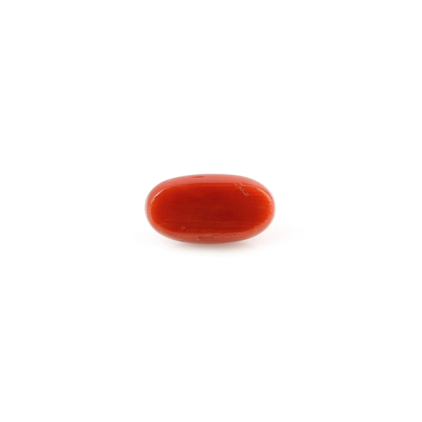 Red Coral - 4.08 Carat - Pramogh