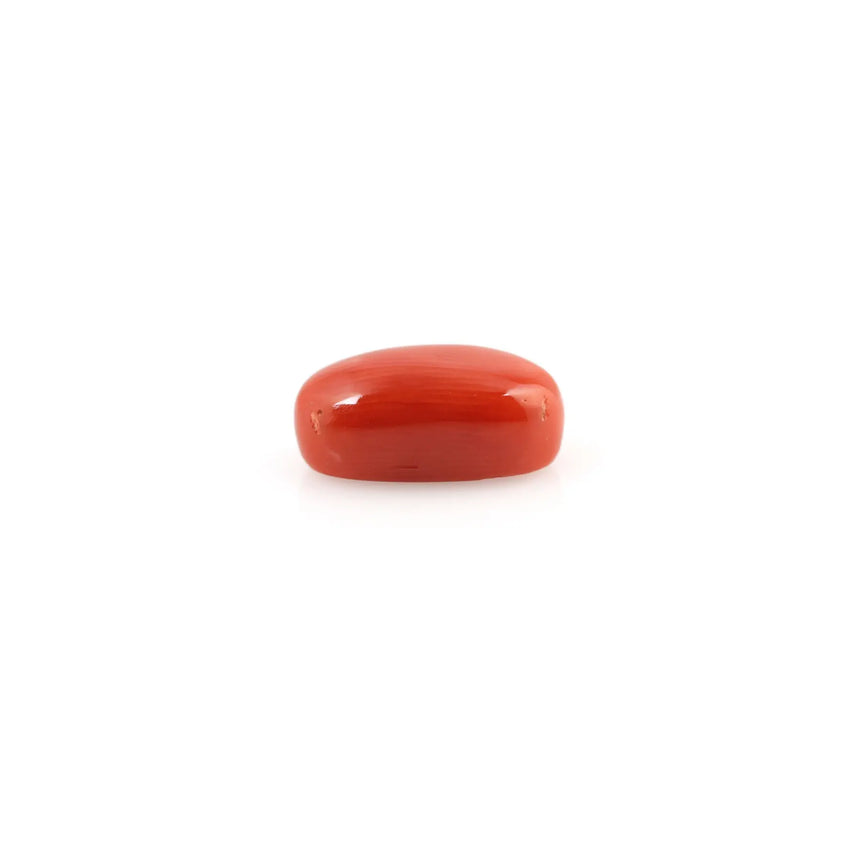 Red Coral - 4.08 Carat - Pramogh