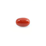 Red Coral - 4.41 Carat - Pramogh