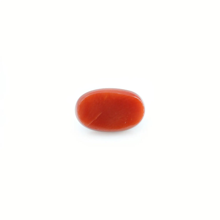 Red Coral - 4.41 Carat - Pramogh