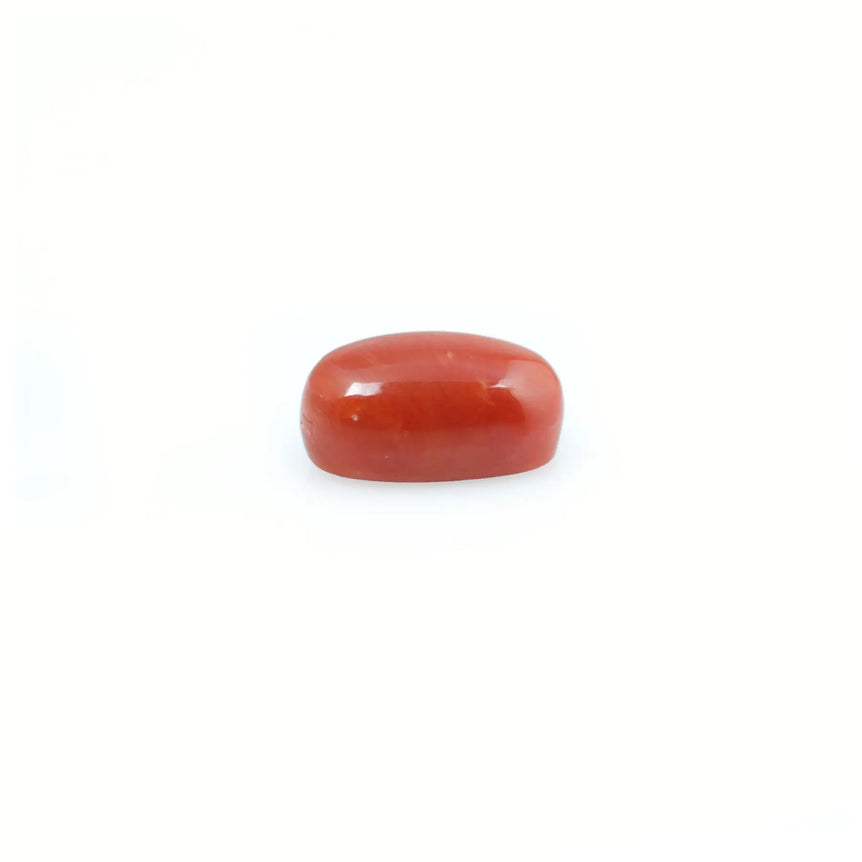 Red Coral - 4.41 Carat - Pramogh