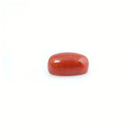 Red Coral - 4.41 Carat - Pramogh