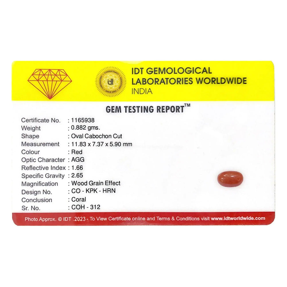 Red Coral - 4.41 Carat - Pramogh