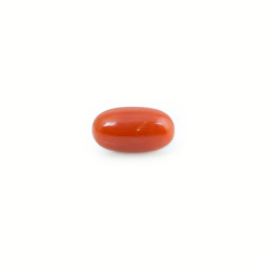 Red Coral - 4.8 Carat - Pramogh