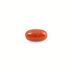 Red Coral - 4.8 Carat - Pramogh