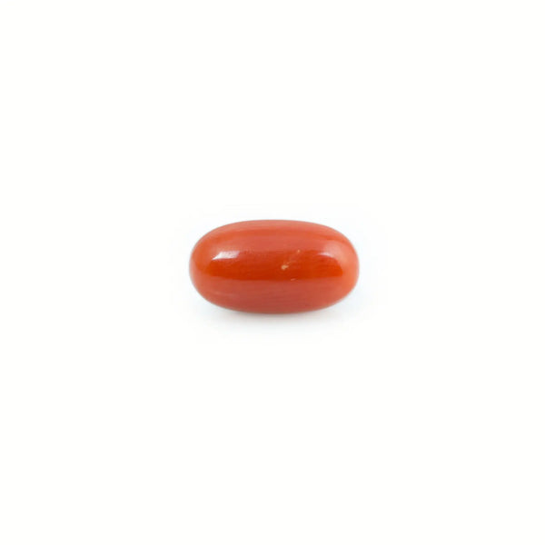 Red Coral - 4.8 Carat