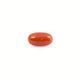 Red Coral - 4.8 Carat - Pramogh
