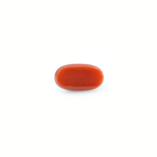 Red Coral - 4.8 Carat