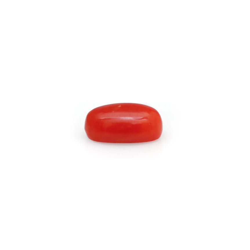 Red Coral - 4.8 Carat - Pramogh
