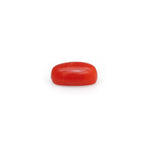 Red Coral - 4.8 Carat - Pramogh