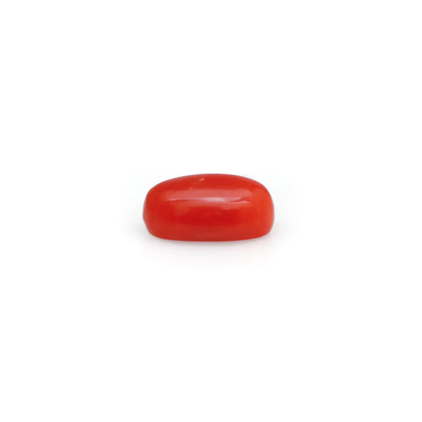 Red Coral - 4.8 Carat