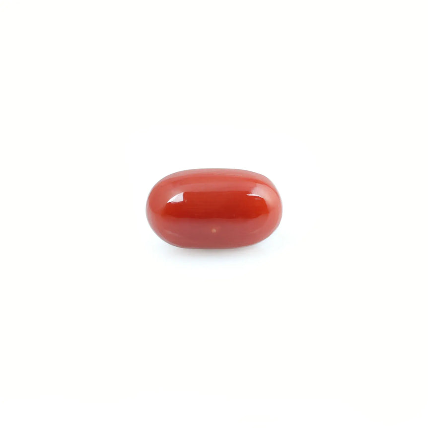 Red Coral - 4.2 Carat - Pramogh