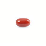 Red Coral - 4.2 Carat - Pramogh