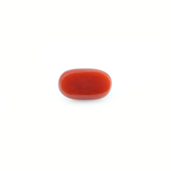 Red Coral - 4.2 Carat