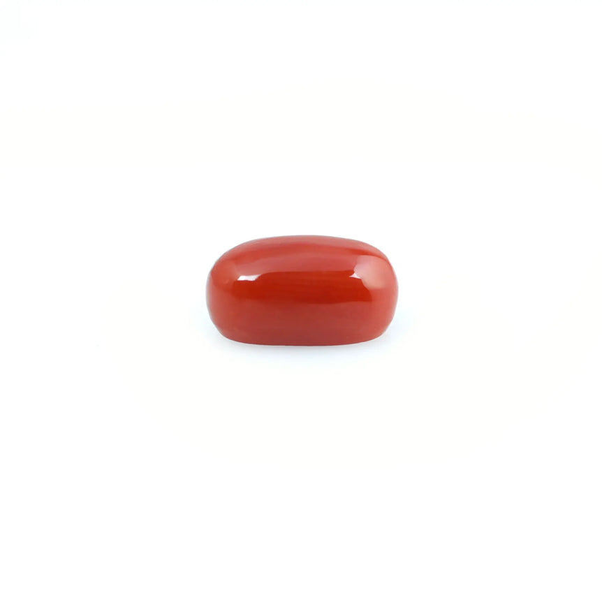 Red Coral - 4.2 Carat - Pramogh