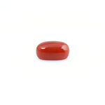 Red Coral - 4.2 Carat - Pramogh
