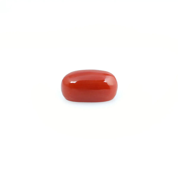 Red Coral - 4.2 Carat