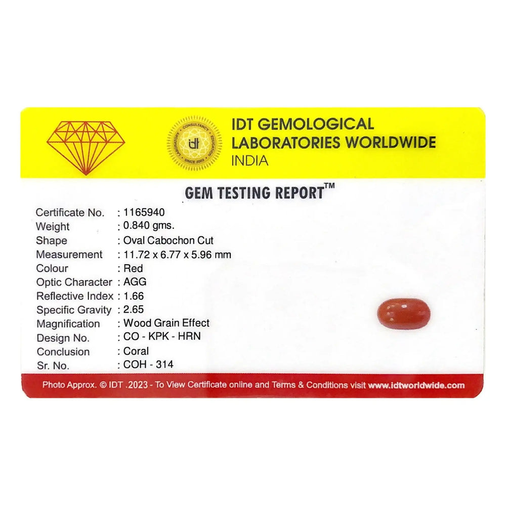 Red Coral - 4.2 Carat - Pramogh