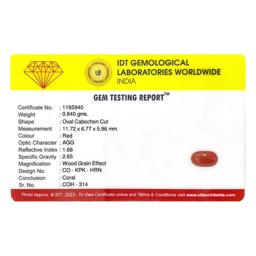 Red Coral - 4.2 Carat - Pramogh