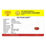 Red Coral - 4.2 Carat - Pramogh