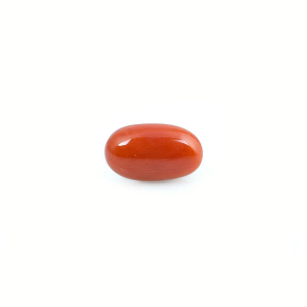 Red Coral - 4.03 Carat