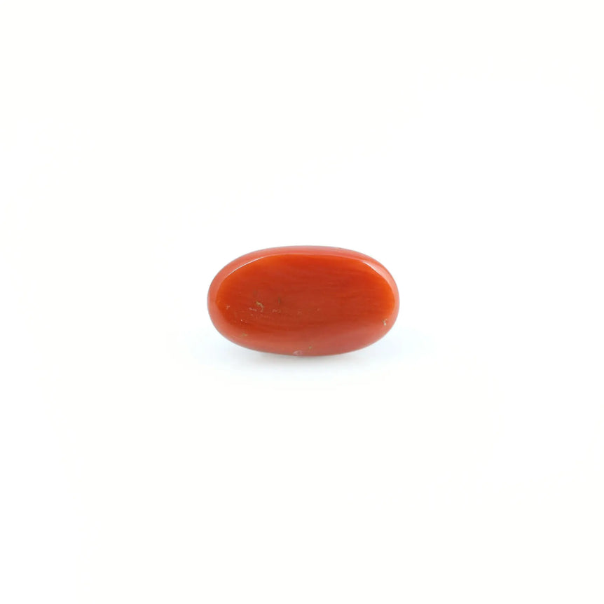 Red Coral - 4.03 Carat - Pramogh