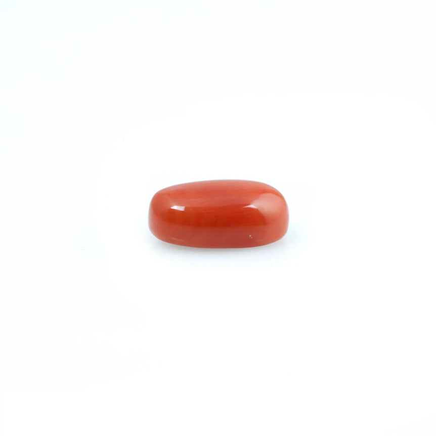 Red Coral - 4.03 Carat - Pramogh
