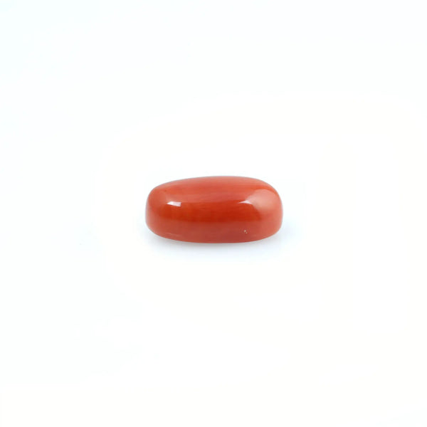 Red Coral - 4.03 Carat