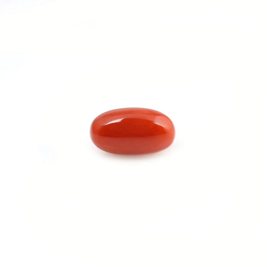 Red Coral - 4.2 Carat - Pramogh