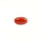 Red Coral - 4.2 Carat - Pramogh